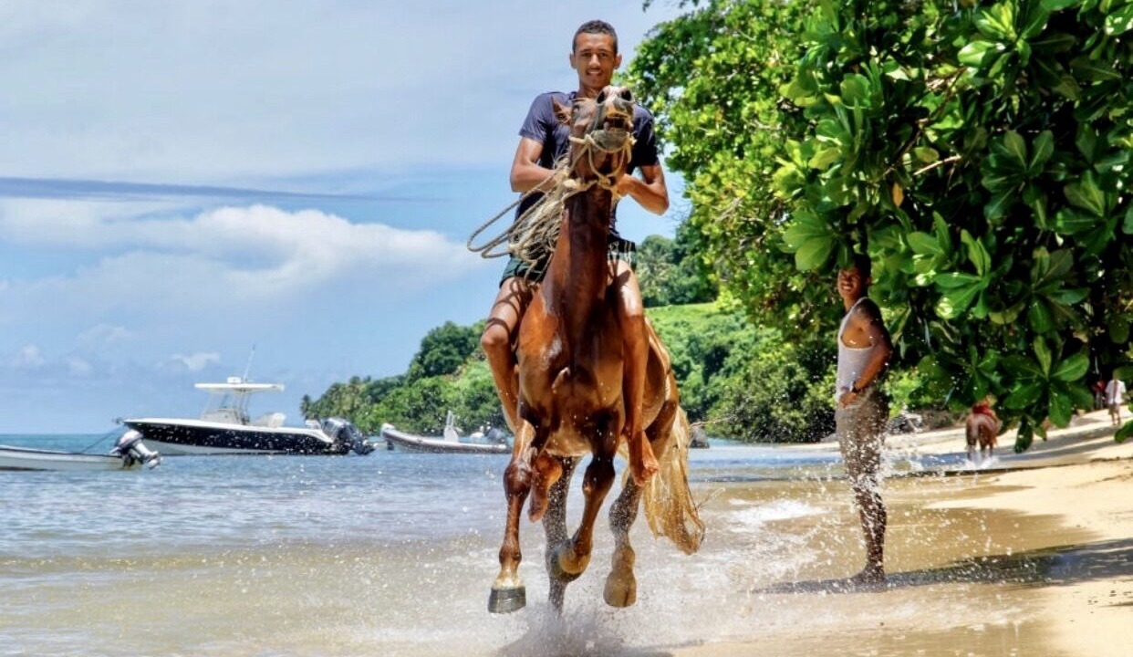 Photo of Others in Taveuni Island East