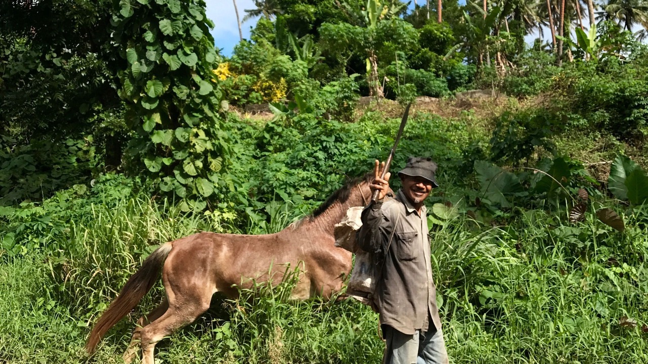 Photo of Outdoor in Taveuni Island East