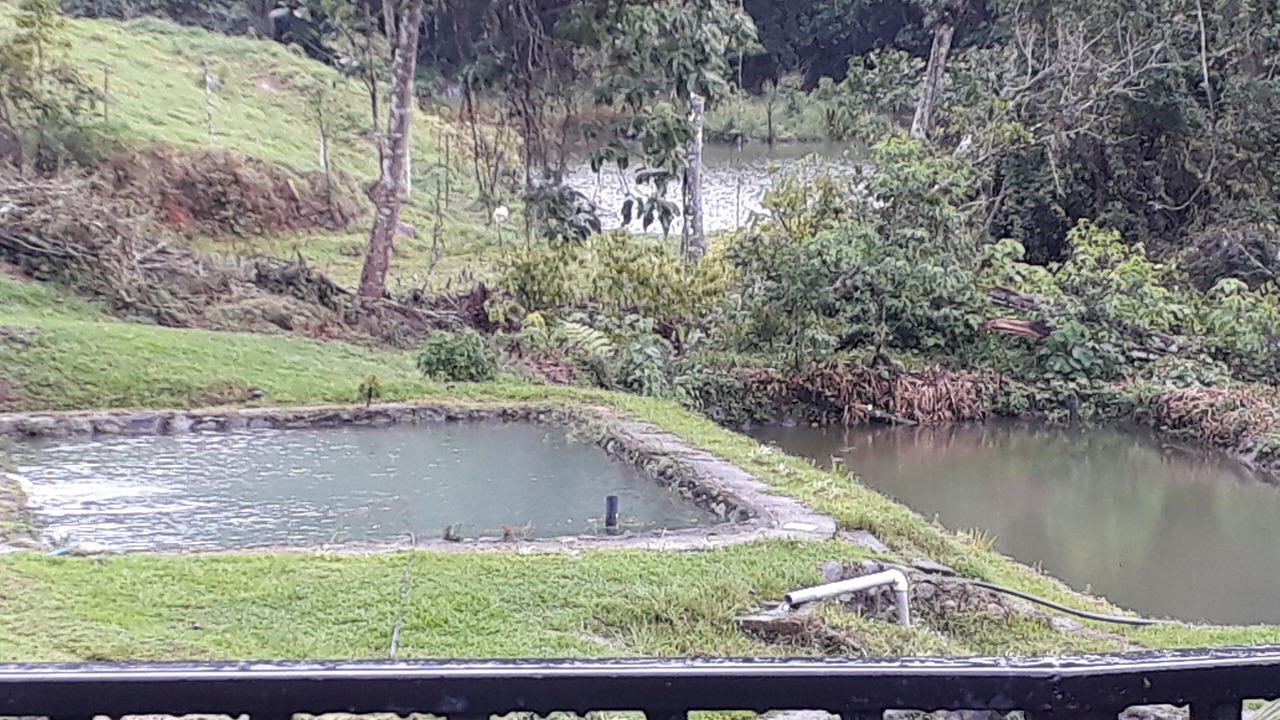 Photo of Outdoor in Platanares
