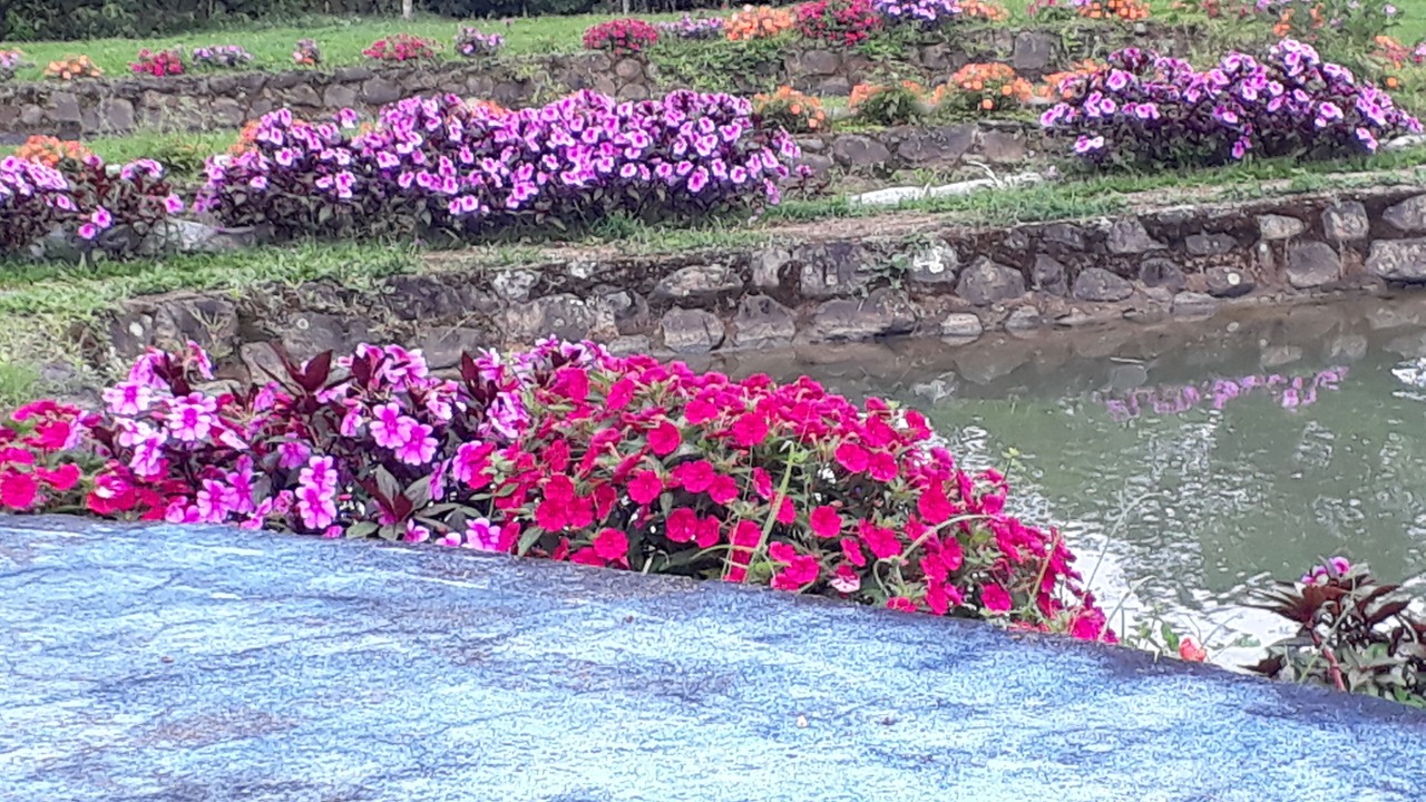 Photo of Outdoor in Platanares