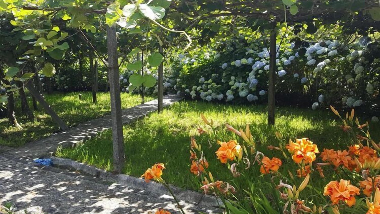 Photo of Outdoor in Macieira de Cambra