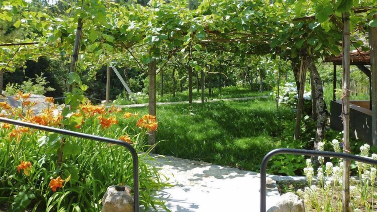 Photo of Outdoor in Macieira de Cambra