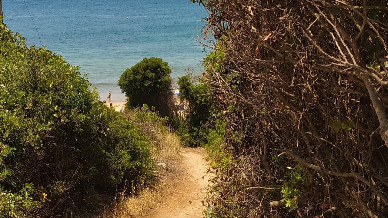Photo of Others in Ferragudo