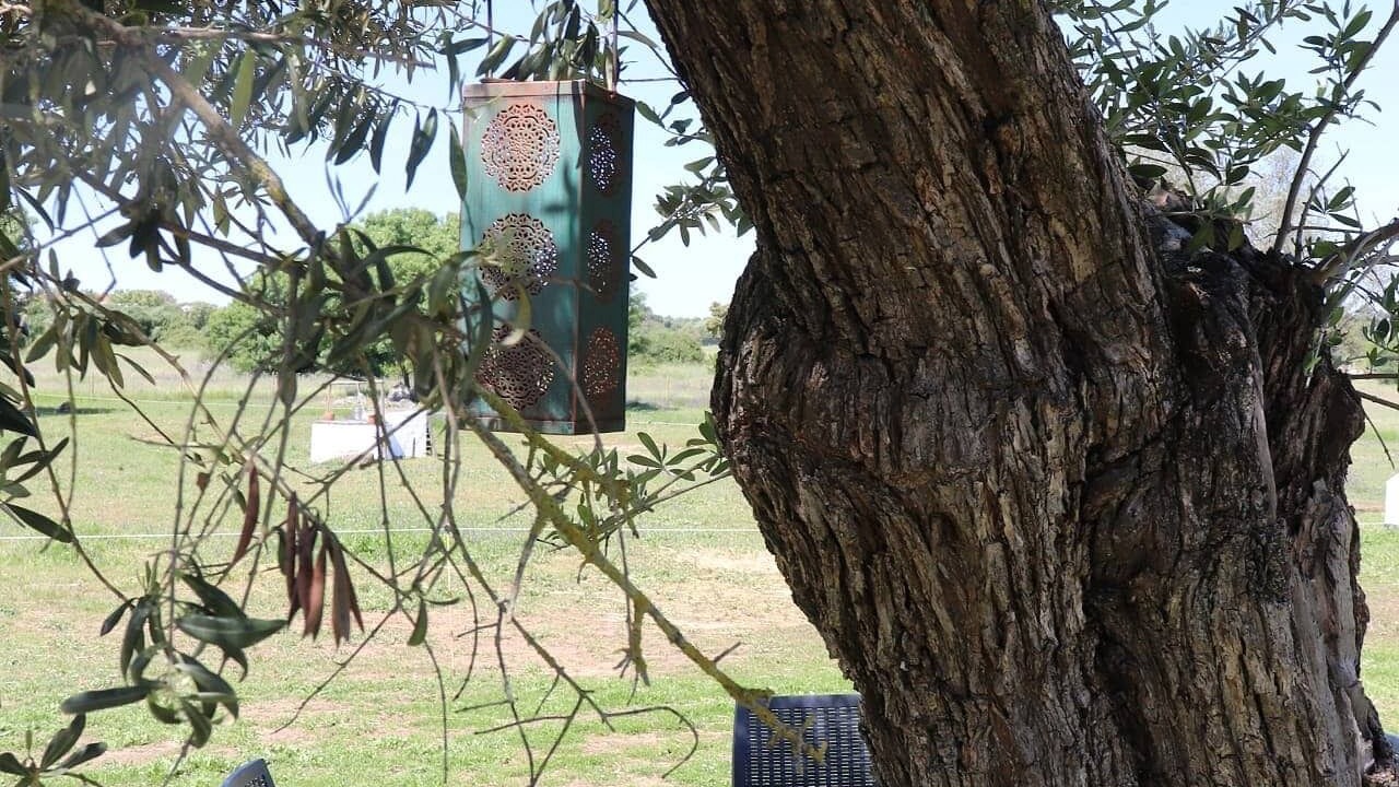 Photo of Outdoor in Evora