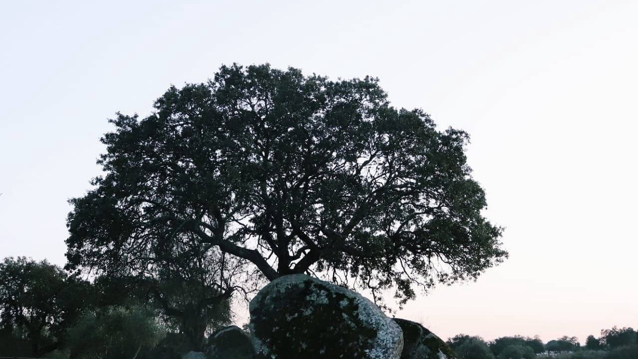 Photo of Outdoor in Evora