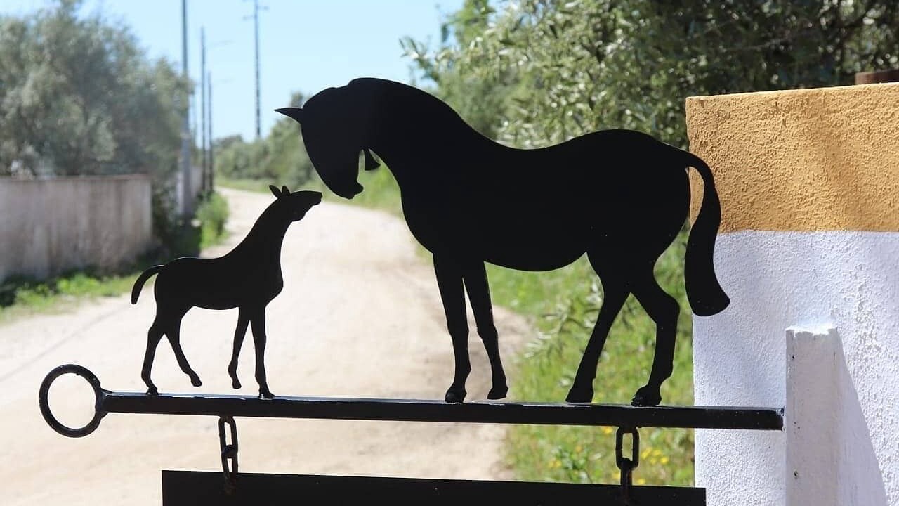 Photo of Outdoor in Evora