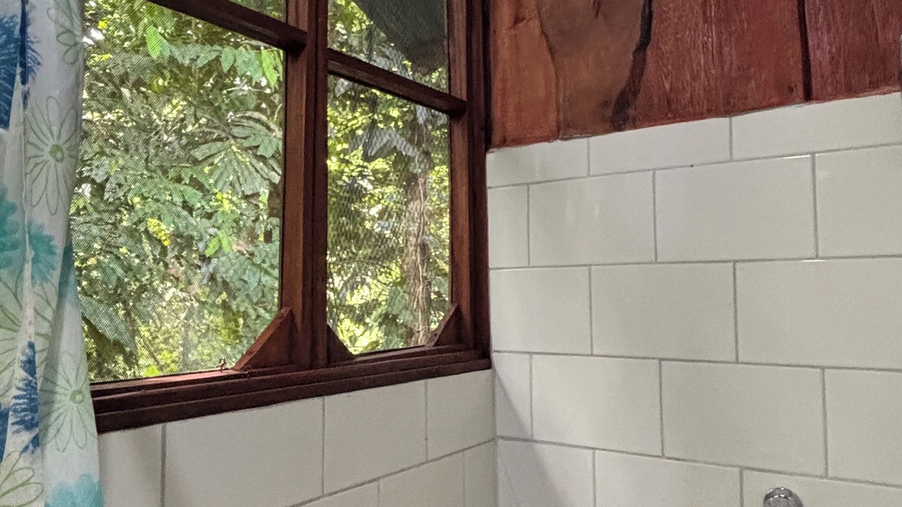 Photo of Bathroom in Drake Bay