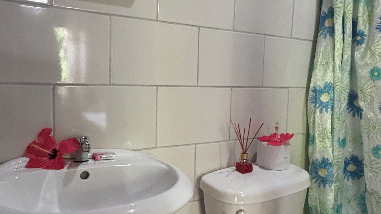 Photo of Bathroom in Drake Bay