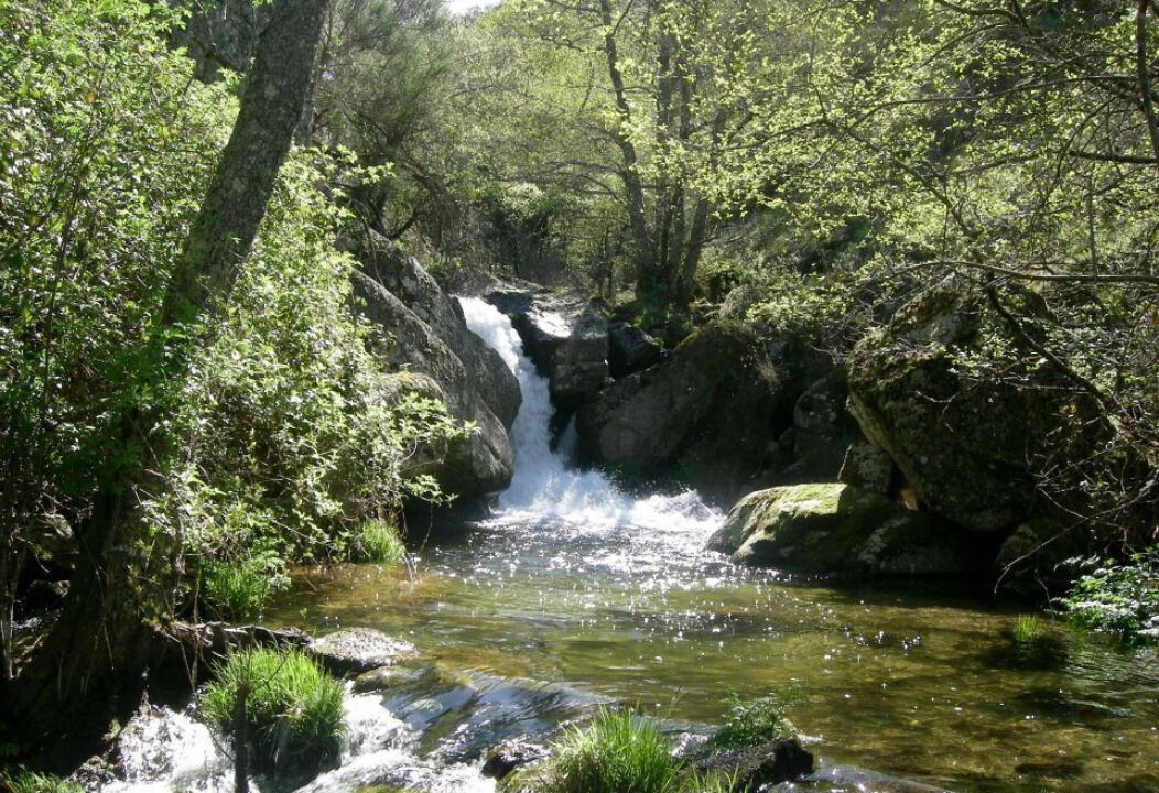 Photo of Outdoor in Quintela