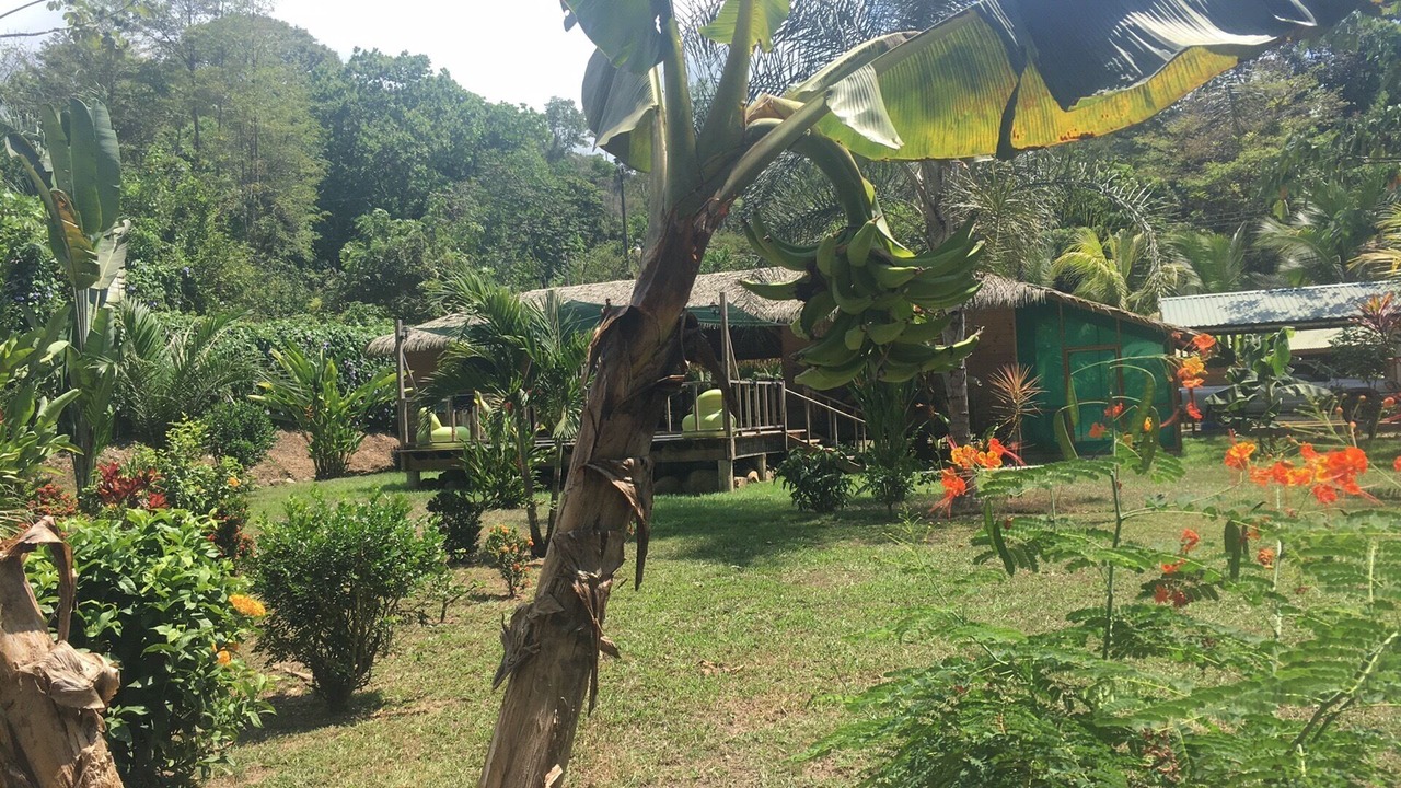 Photo of Outdoor in Ojochal