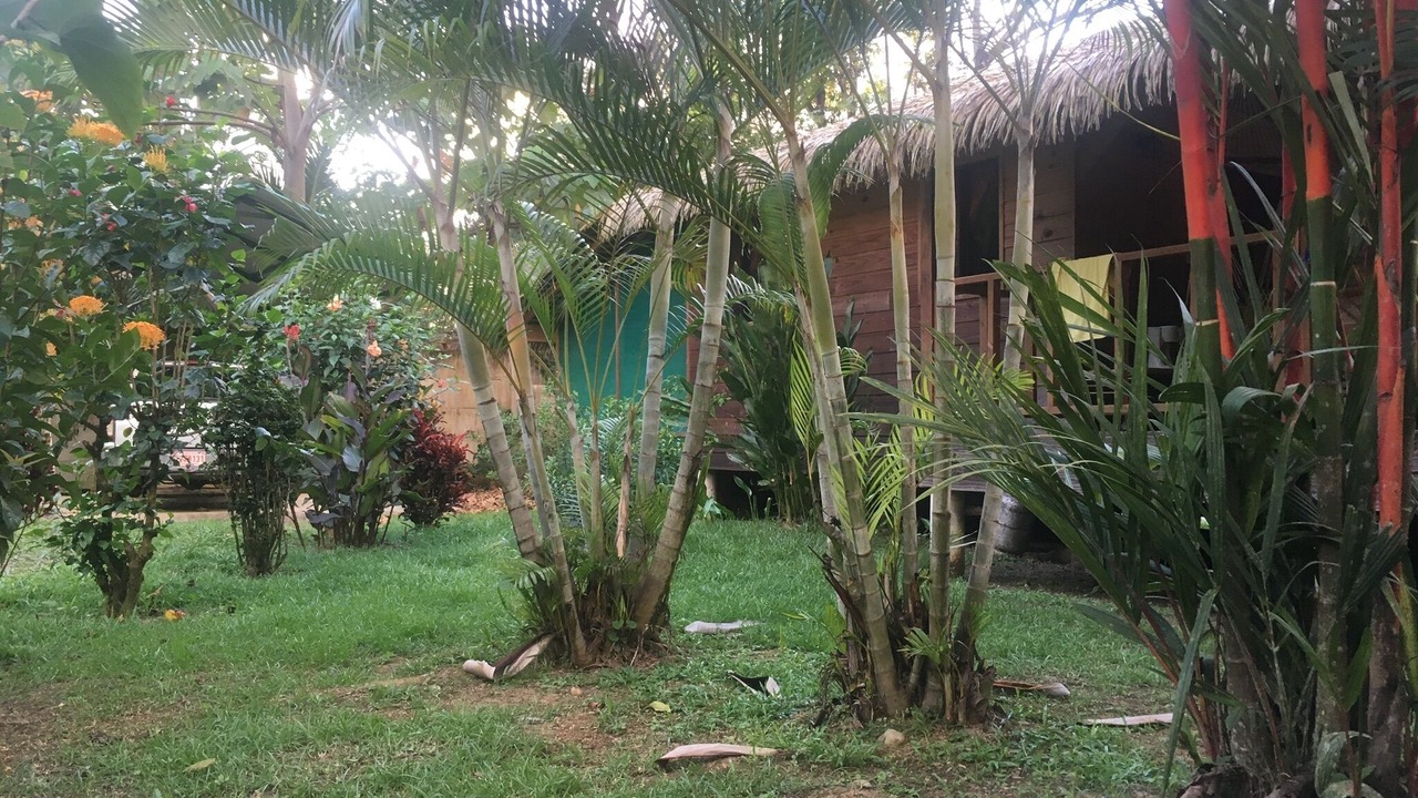 Photo of Outdoor in Ojochal