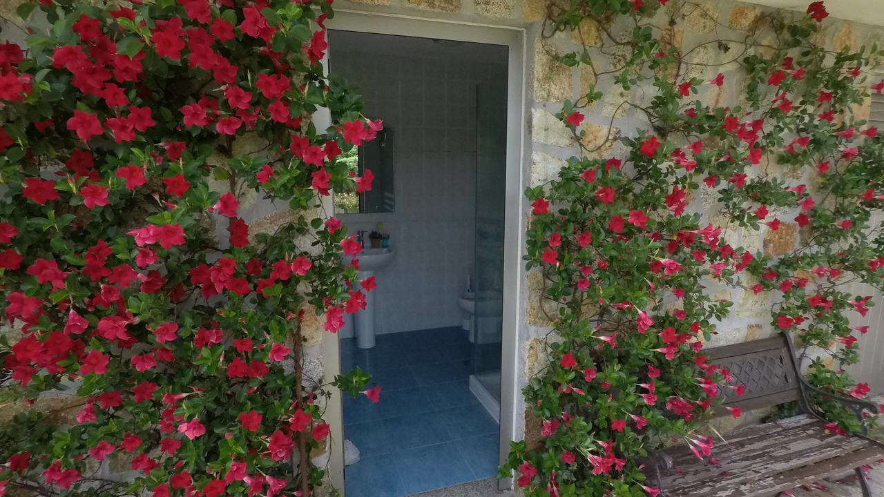 Photo of Outdoor in Santa Maria da Feira