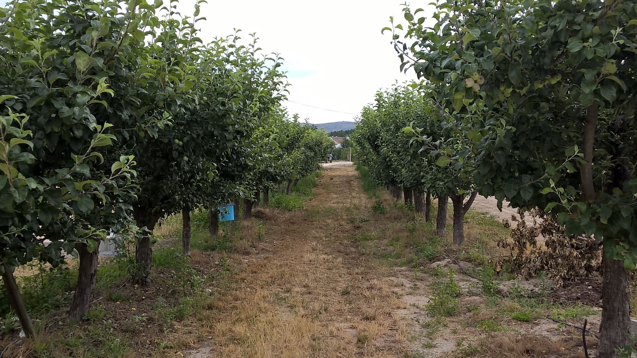 Photo of Outdoor in Sequeiros