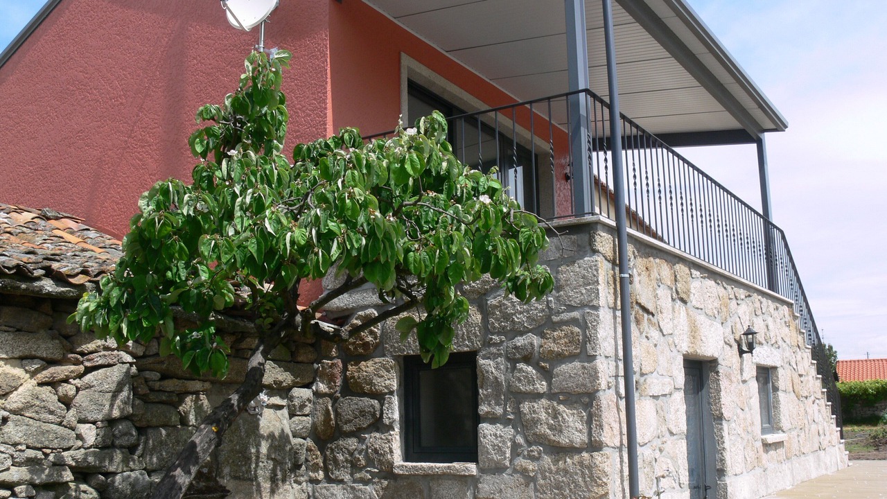 Photo of Outdoor in Sequeiros