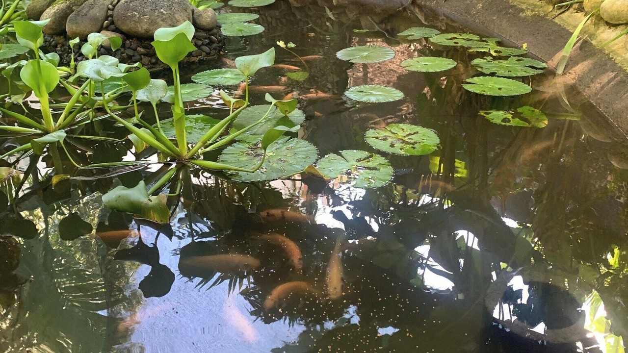 Photo of Outdoor in Chiguata