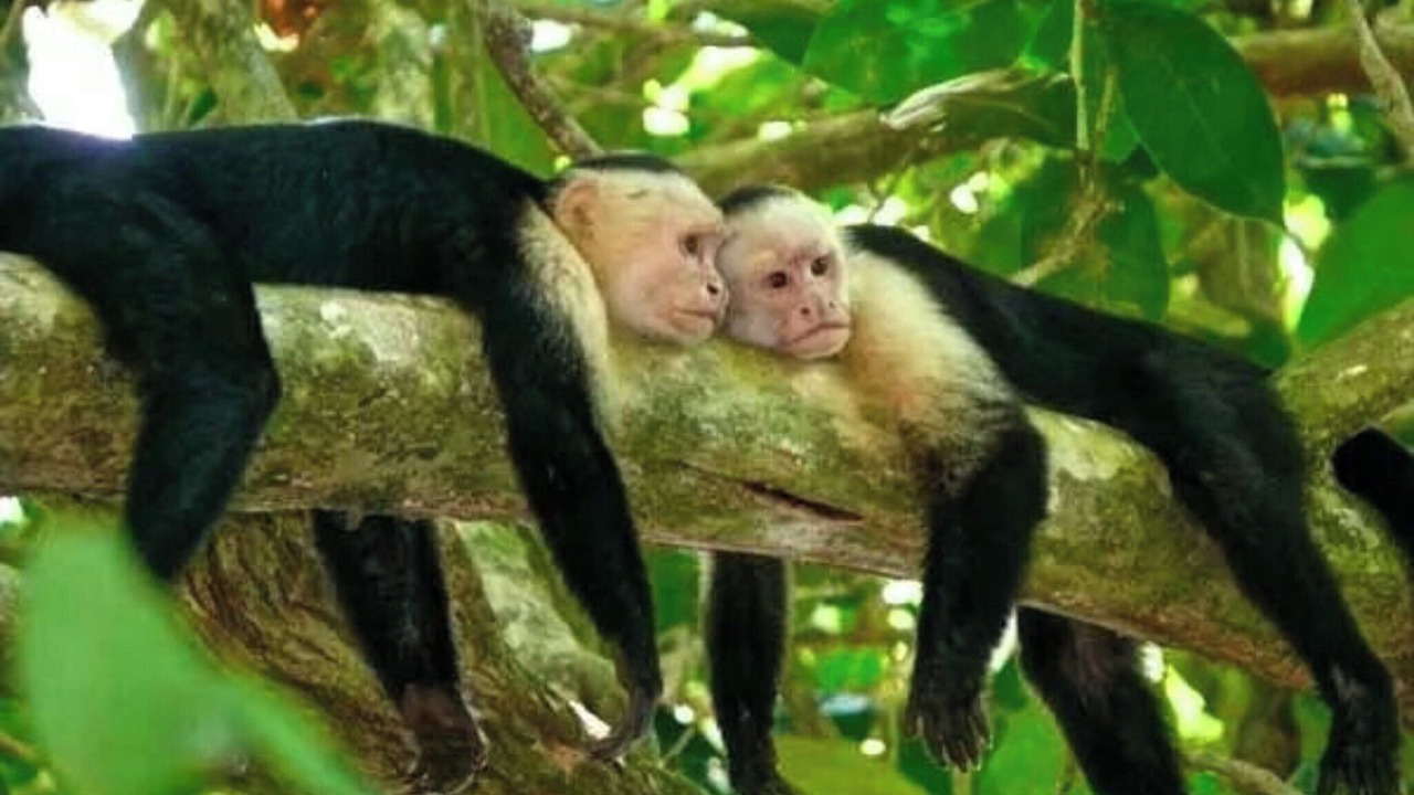 Photo of Others in Chiguata
