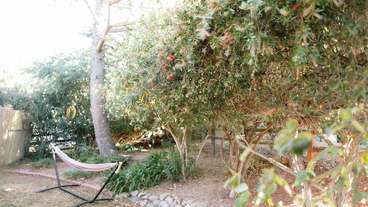 Photo of Outdoor in Santa Ynez