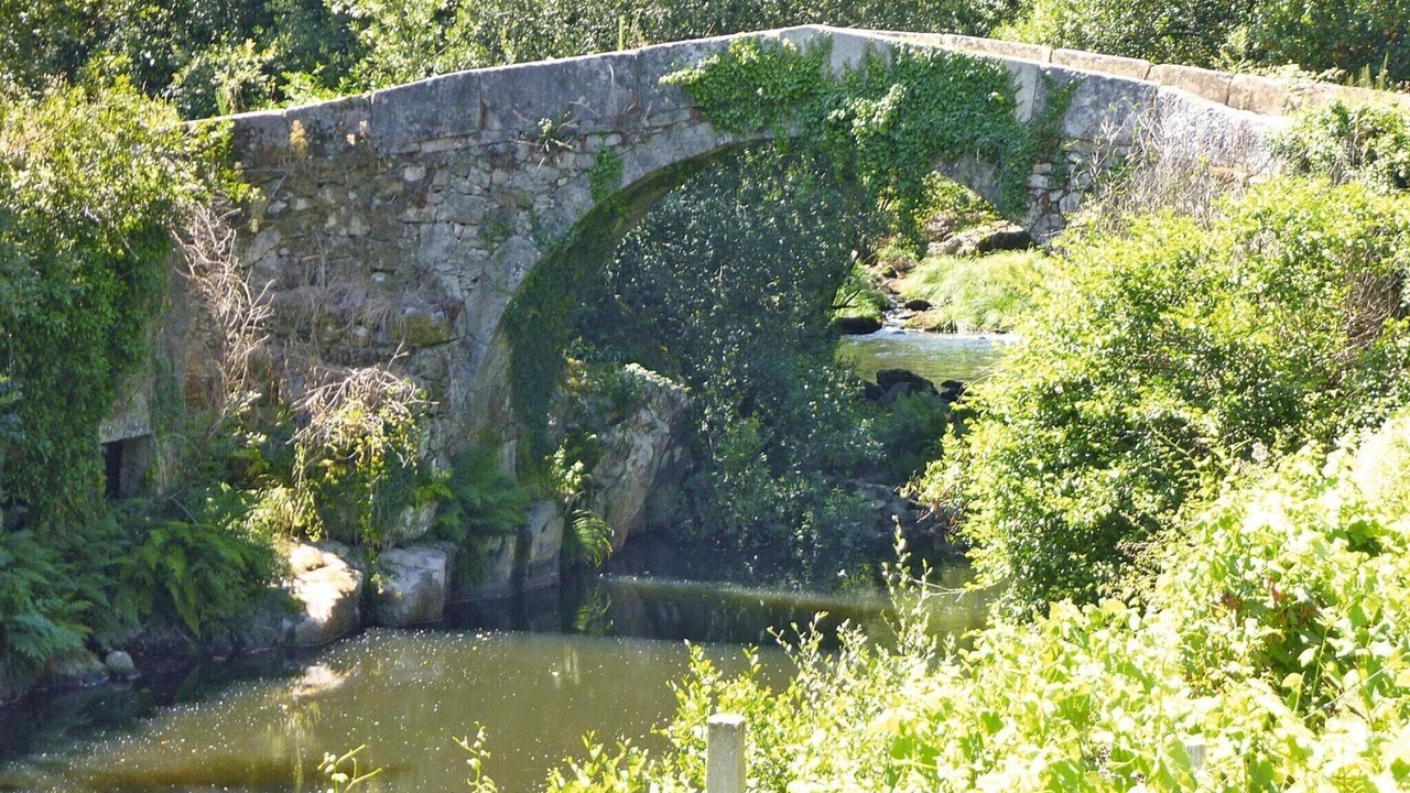 Photo of Others in Macieira de Cambra