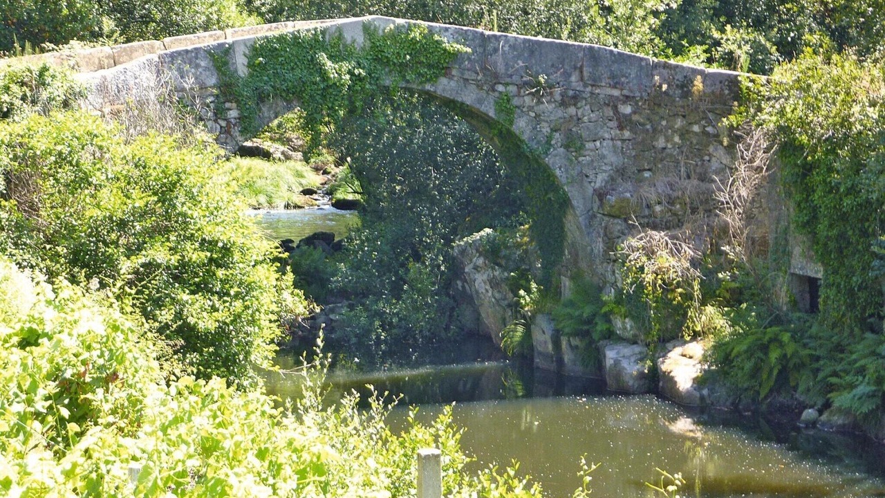 Photo of Others in Macieira de Cambra