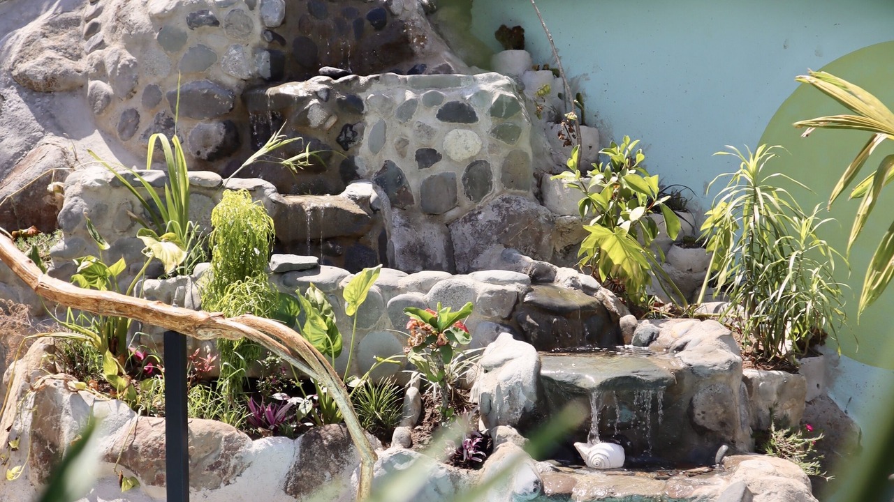 Photo of Outdoor in Ojochal