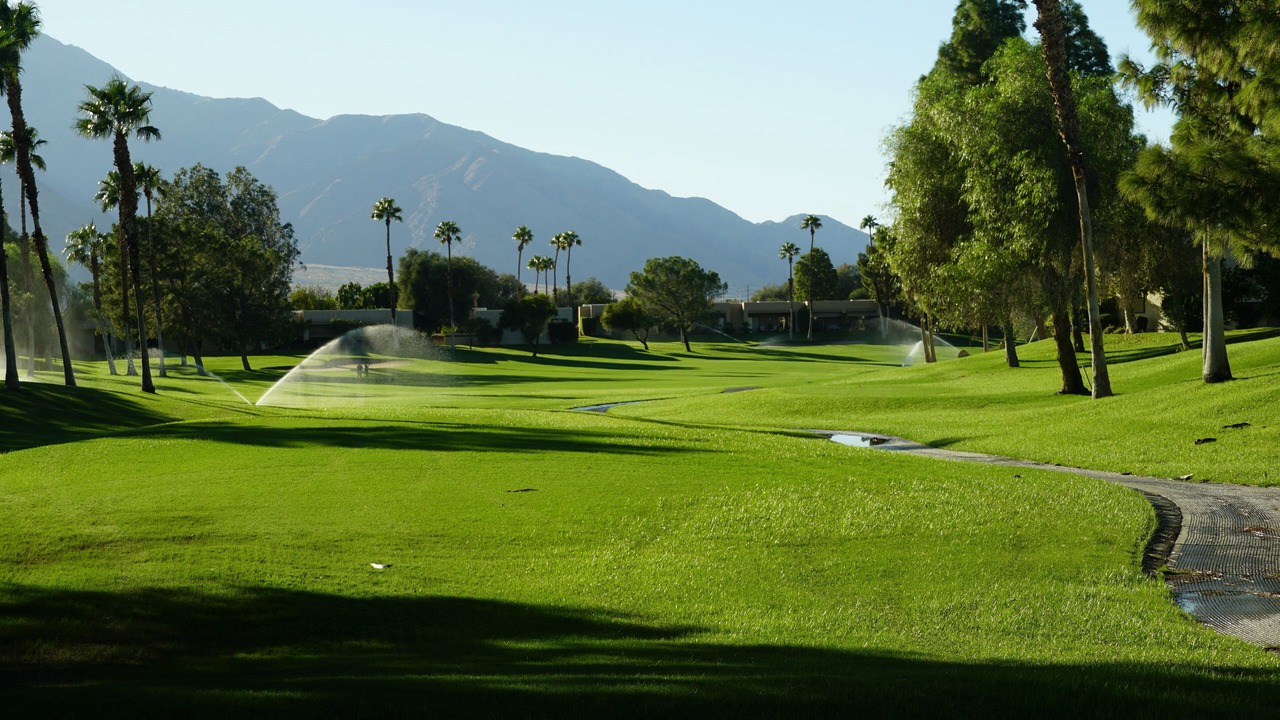 Photo of Others in Palm Springs