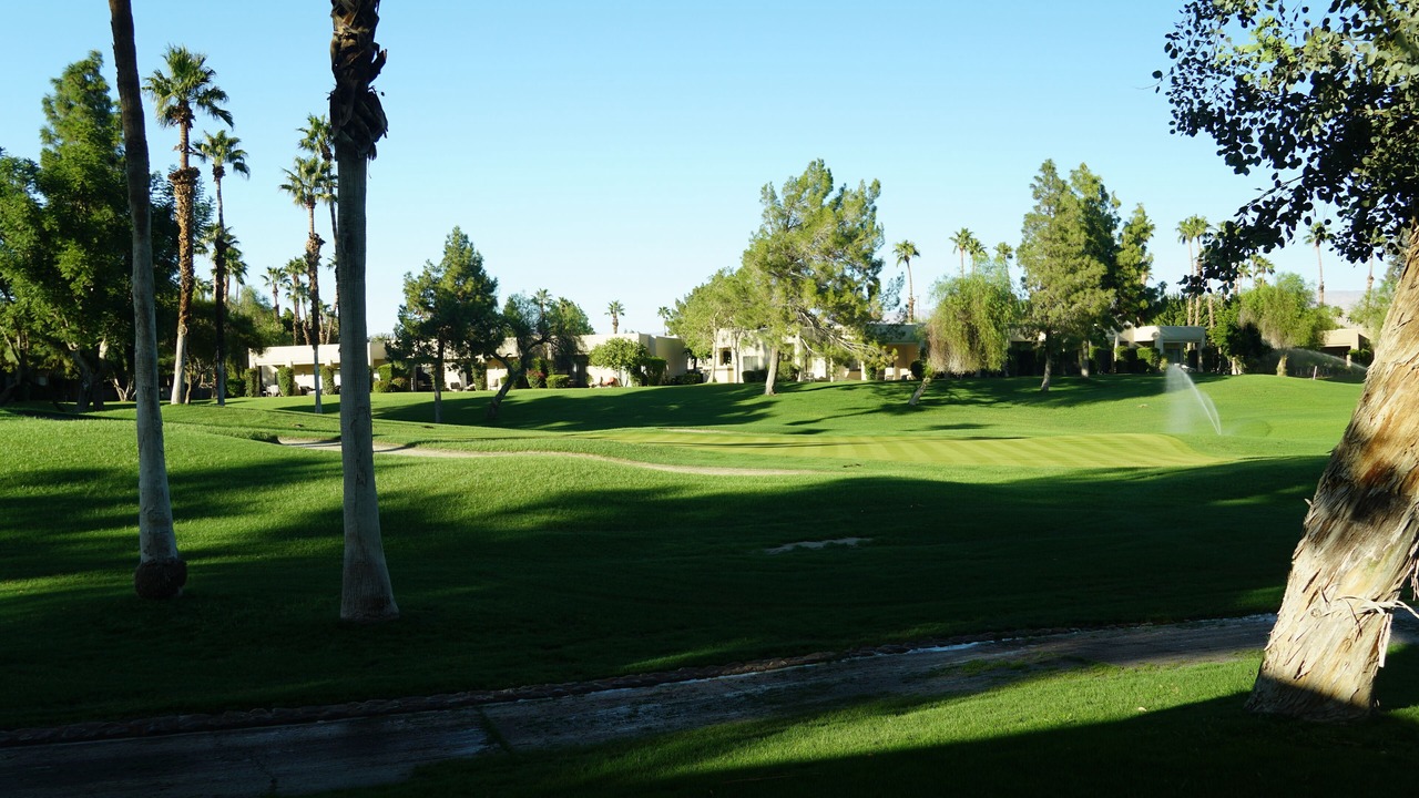 Photo of Others in Palm Springs