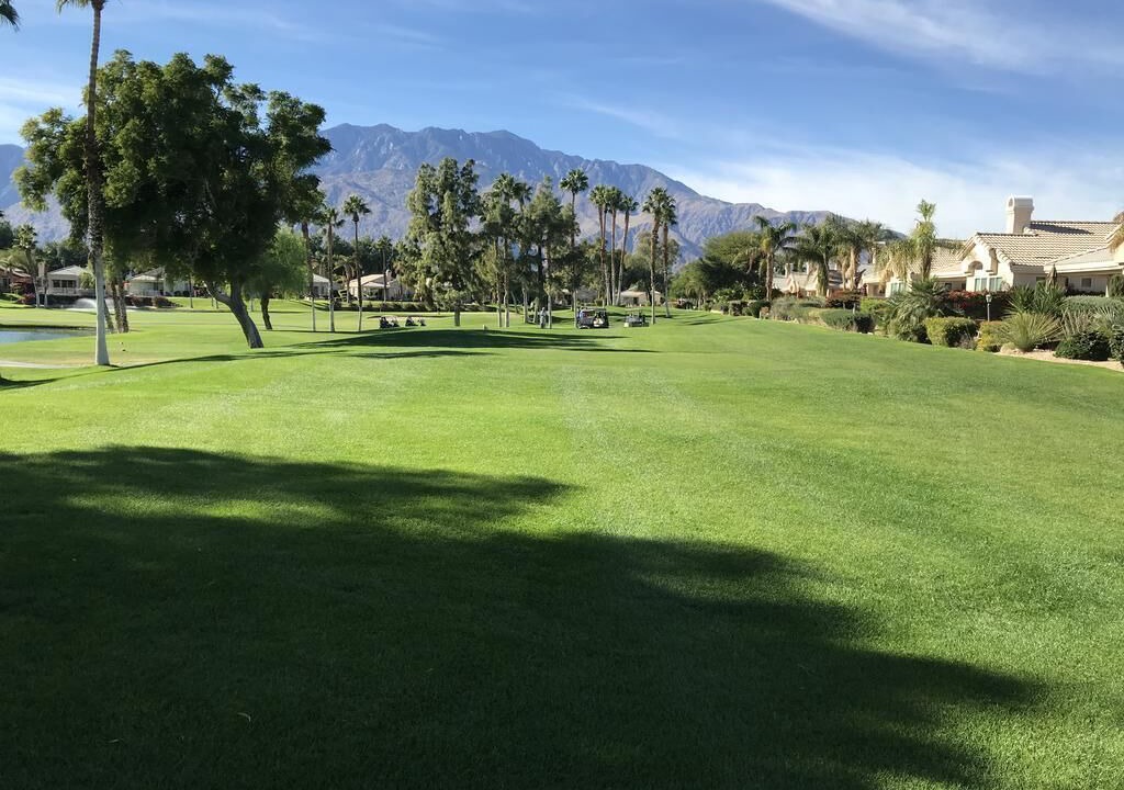 Photo of Others in Palm Springs