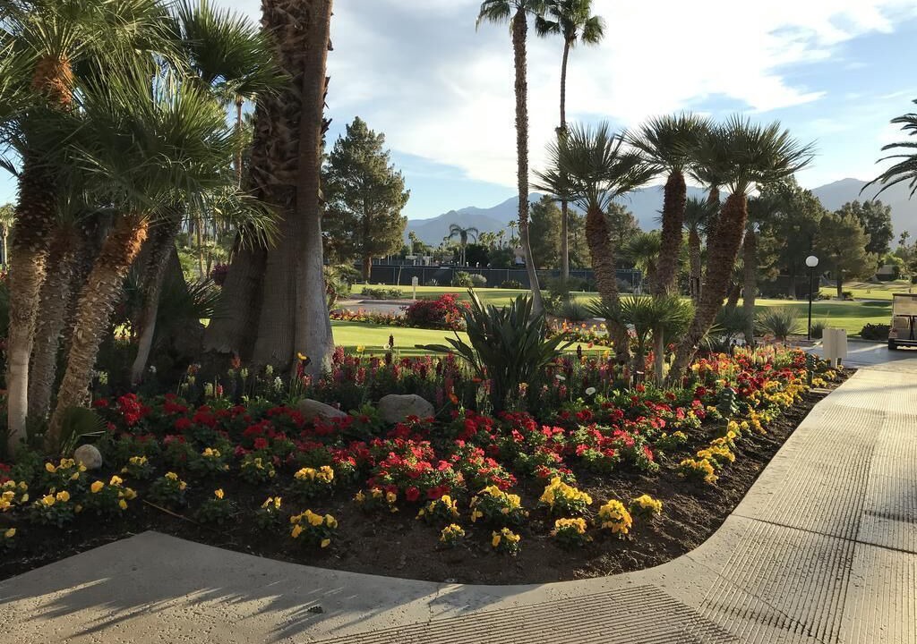 Photo of Others in Palm Springs