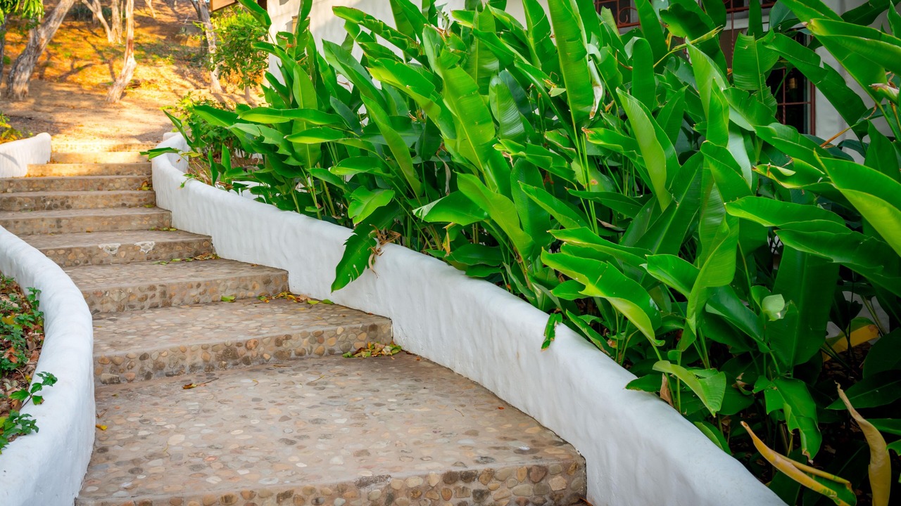 Photo of Outdoor in San Juan del Sur