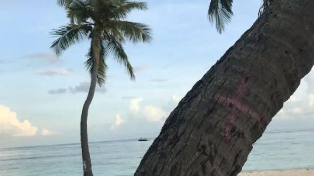 Photo of Others in Kamadhoo