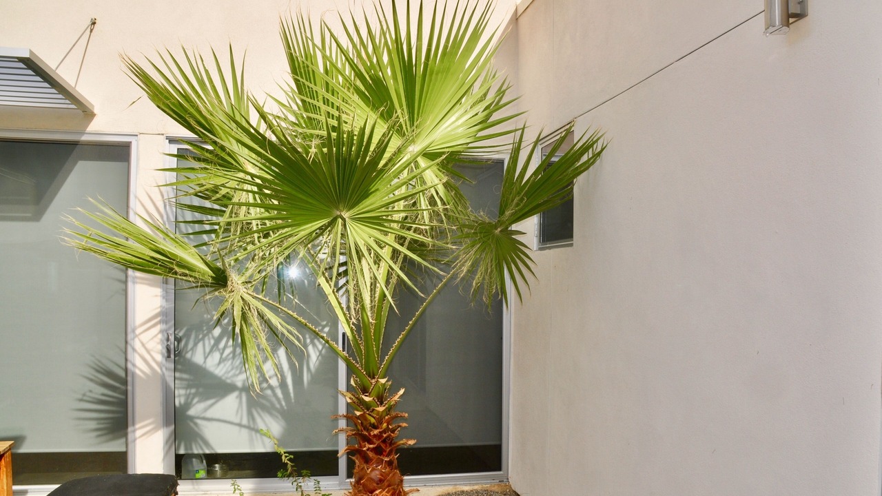 Photo of Outdoor in Palm Springs