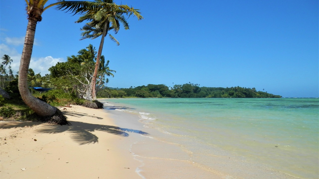 Photo of Others in Savusavu