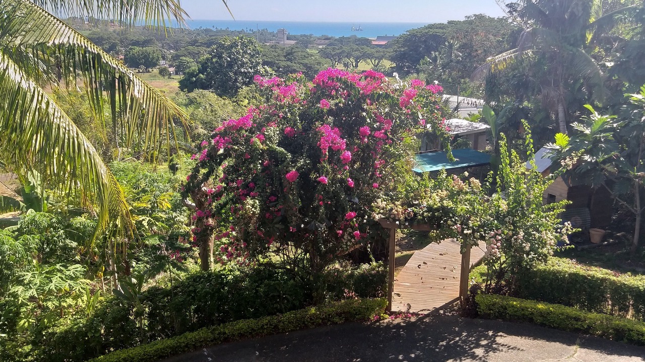Photo of Outdoor in Lautoka
