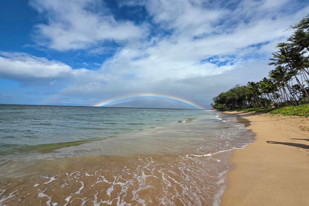 Photo of Others in Kihei
