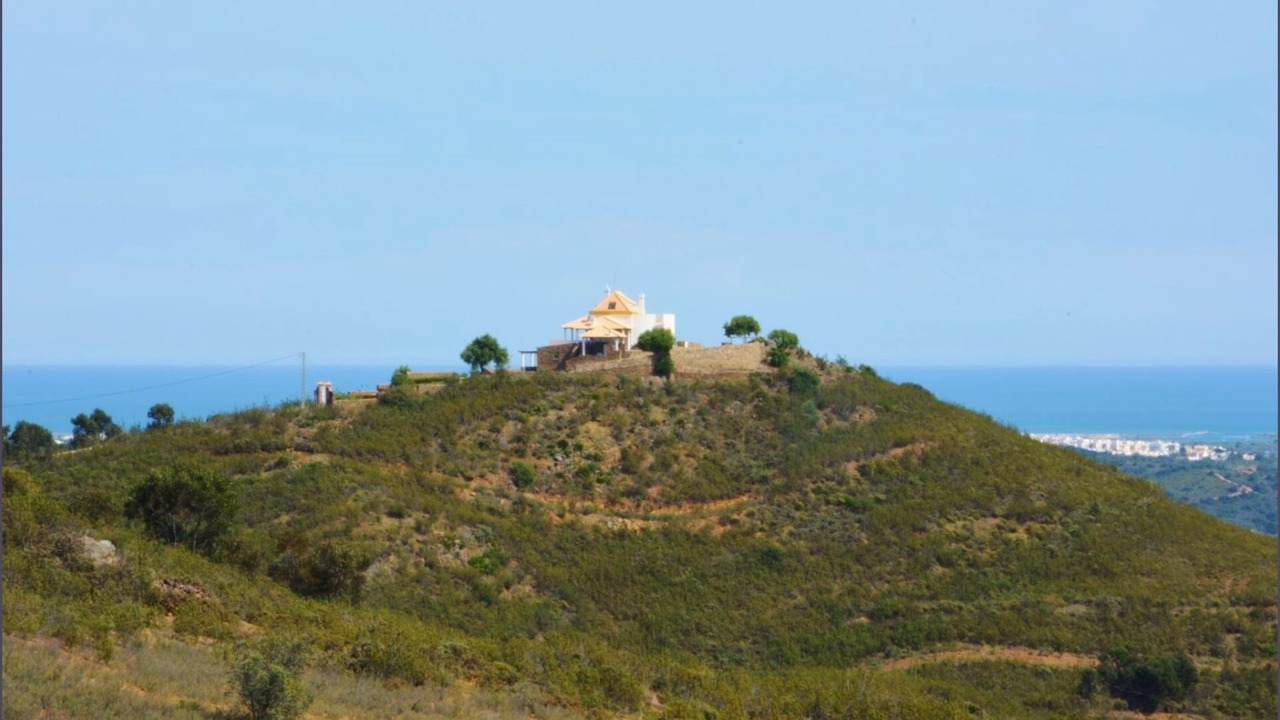Photo of Outdoor in Picota