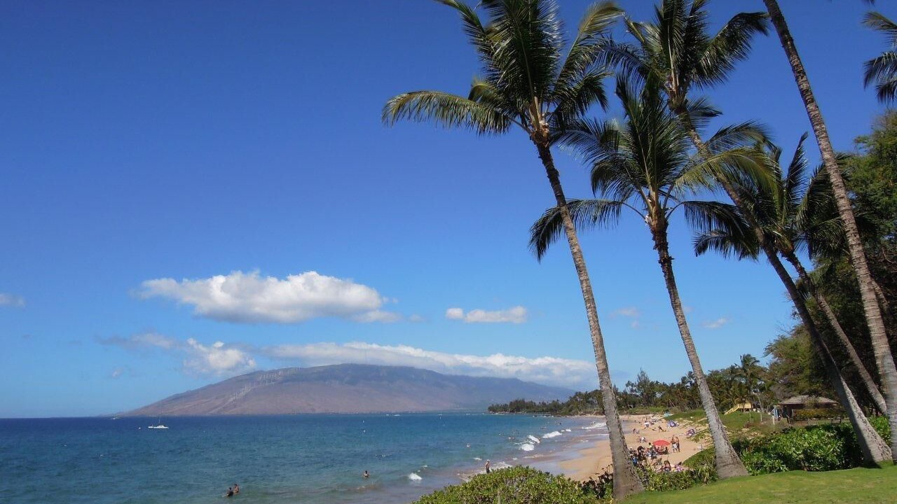 Photo of Others in Kihei