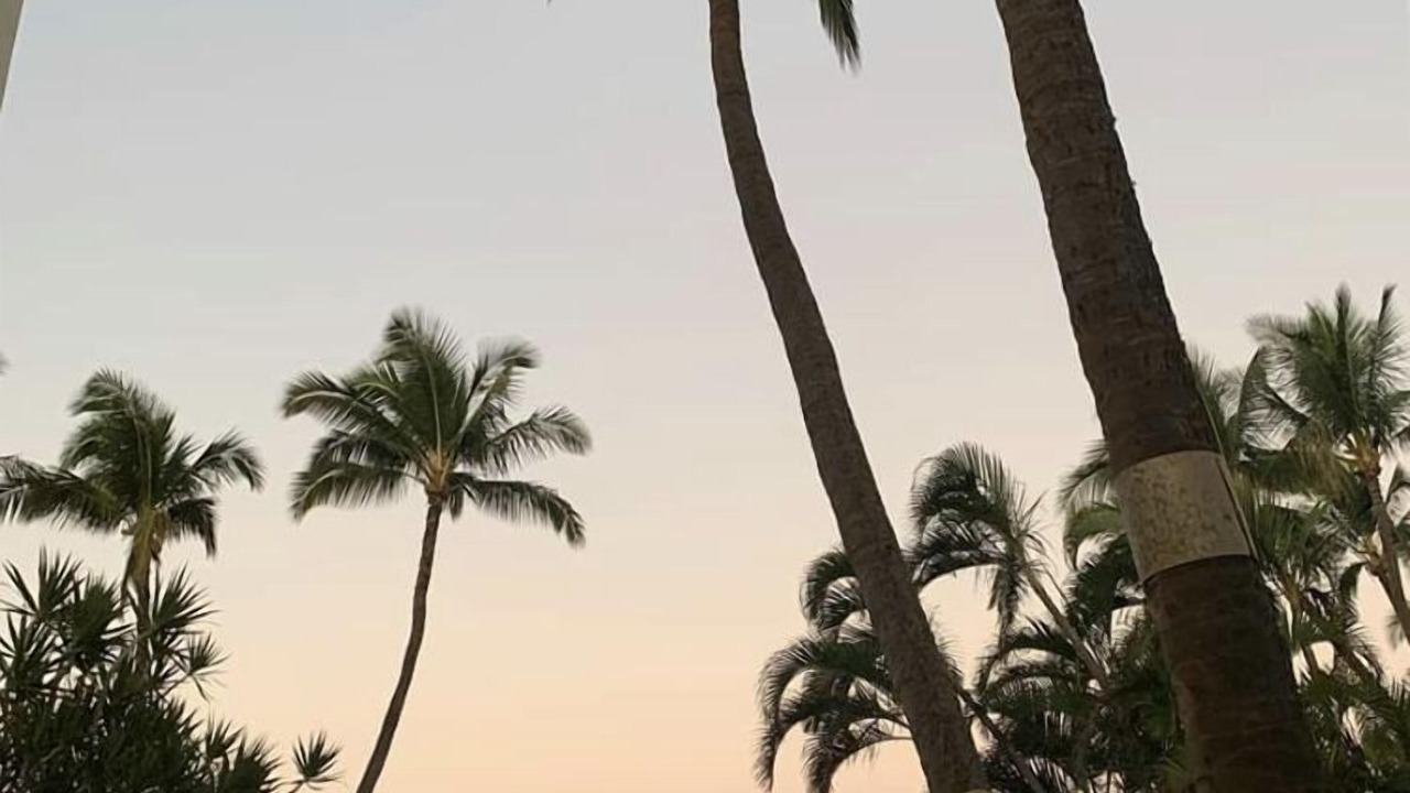 Photo of Others in Kihei