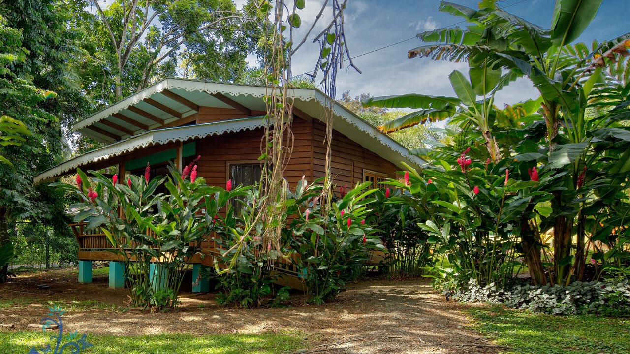 Photo of Outdoor in Puerto Viejo de Talamanca