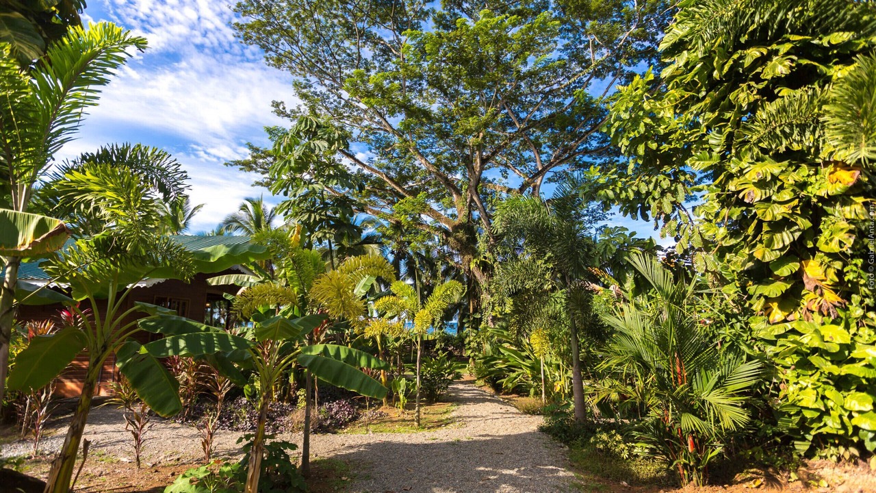 Photo of Outdoor in Puerto Viejo de Talamanca