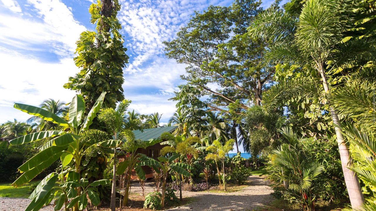 Photo of Outdoor in Puerto Viejo de Talamanca