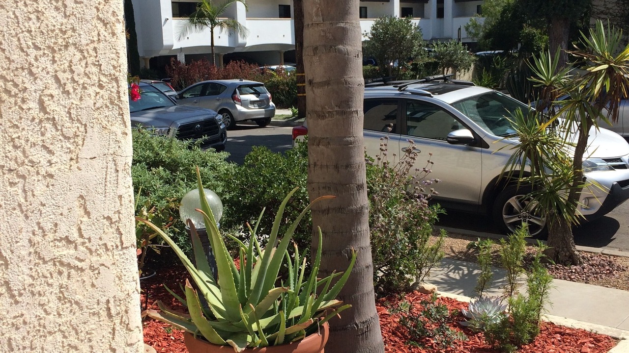 Photo of Outdoor in East Beach