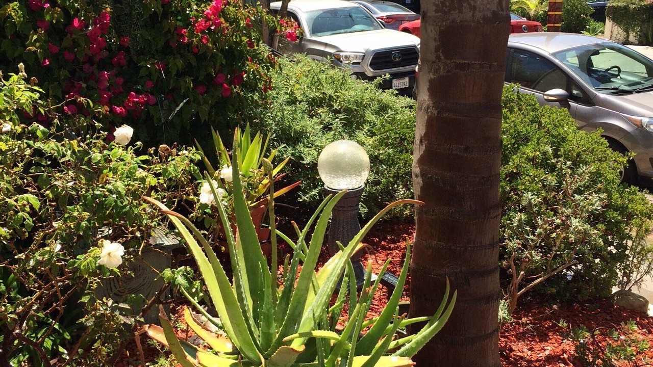 Photo of Outdoor in East Beach