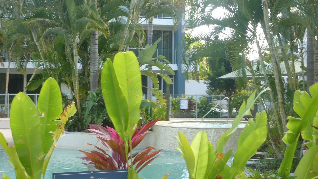 Photo of Outdoor in Gold Coast