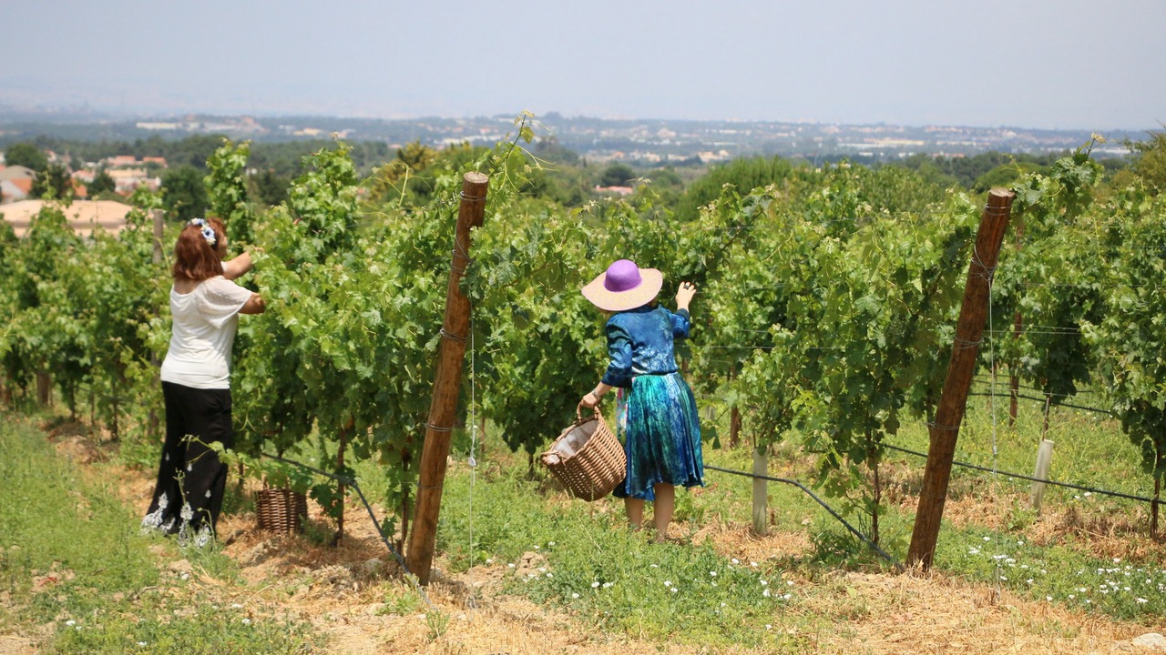 Photo of Others in Sao Simao