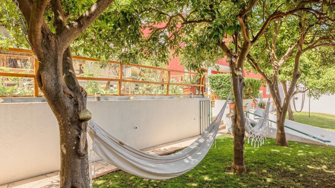 Photo of Outdoor in Alges