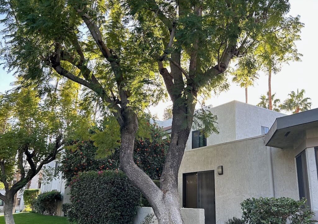 Photo of Outdoor in Uptown Design District