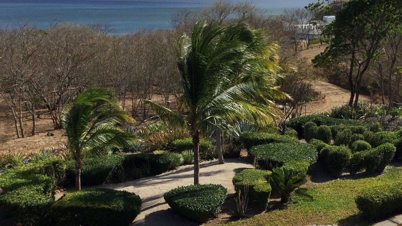 Photo of Outdoor in Rancho Santana