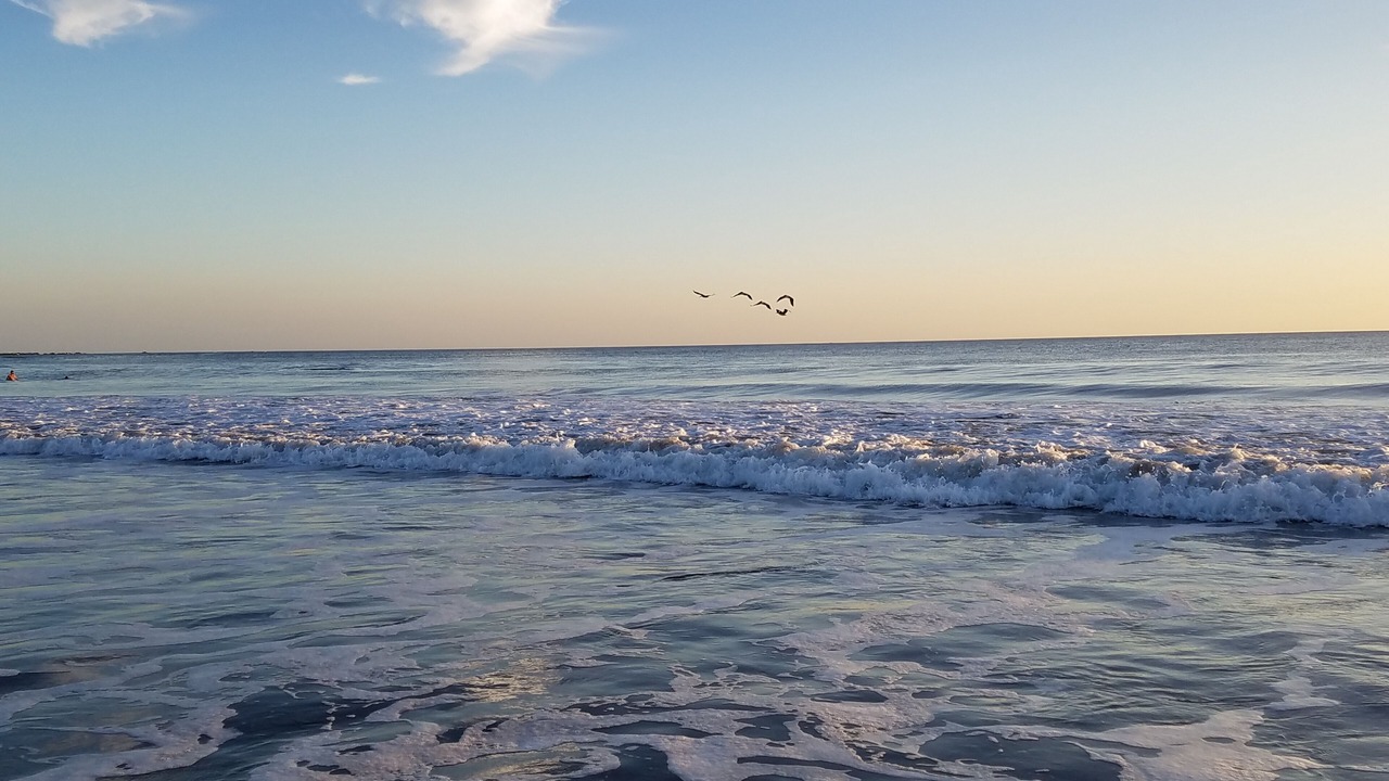 Photo of Others in Playa Azul