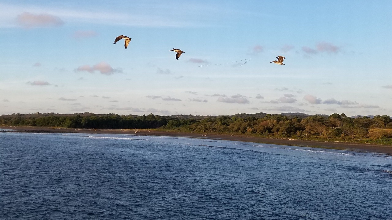 Photo of Others in Playa Azul