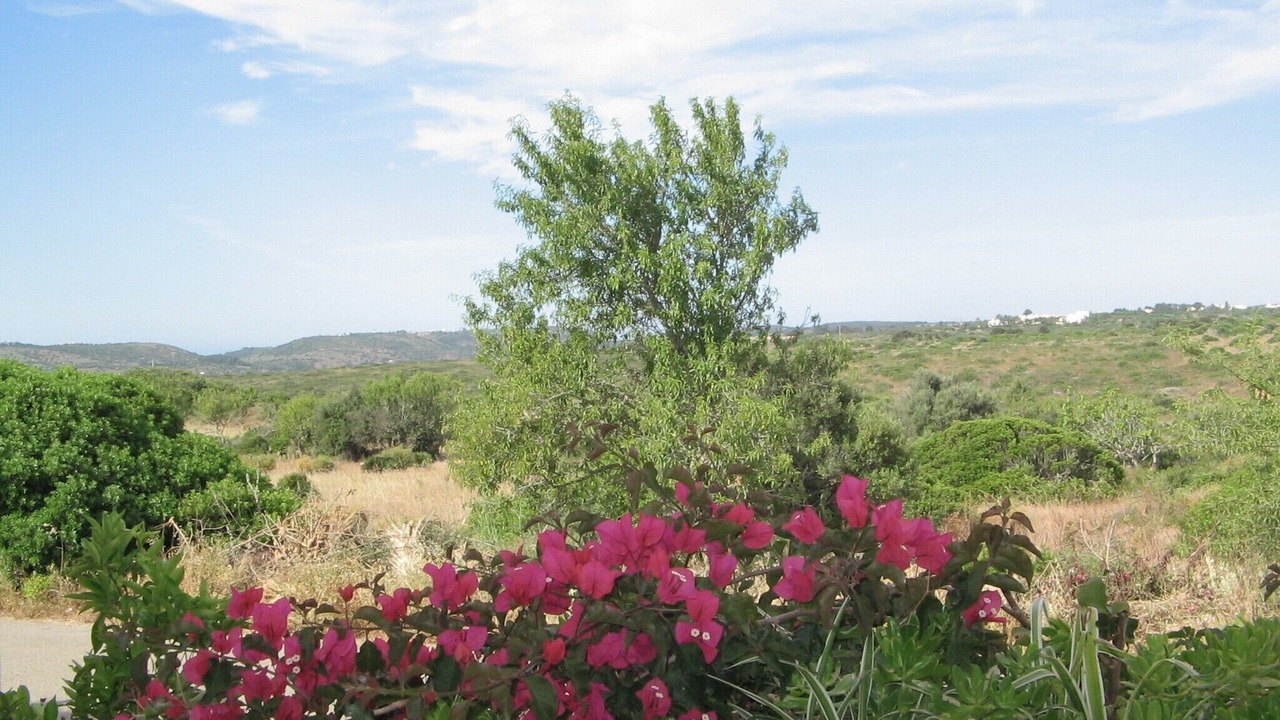 Photo of Outdoor in Lagos